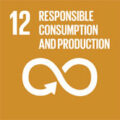 UN SDG 12 Responsible Consumption and Production