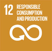 UN SDG 12 Responsible Consumption and Production
