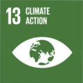 Green icon with the number 13 and the text "Climate Action" above a symbol of Earth inside an eye shape, representing a sustainable development goal.