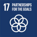 UN SDG 17 Partnerships for the Goals