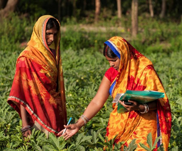 Two individuals wearing colorful saris are in a lush green field, examining plants. One holds a folder, indicating agricultural work or study.